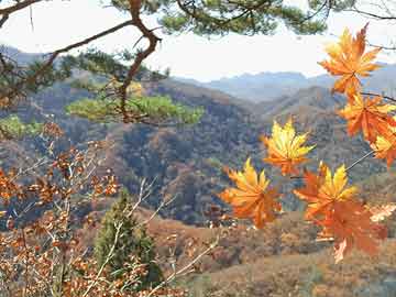 深圳地铁14号线坪山围